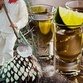 Tequila